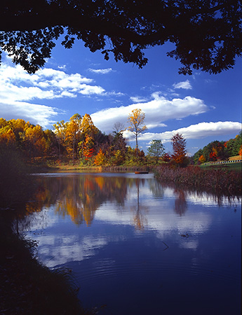 Fall Morning on the Monticello Trail, Albemarle County, VA